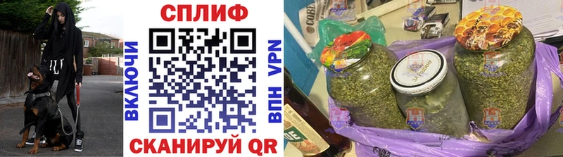 Купить закладки  Новокузнецк  Бошки Шишки White Widow 